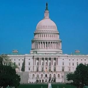 Meet your Posher, Vicky